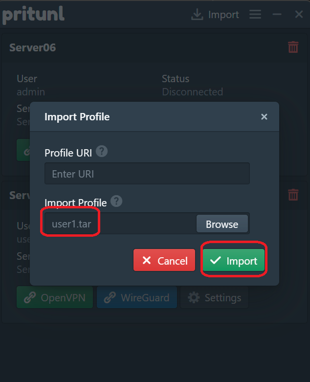 Pritunl import step 2